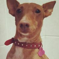 Celia Madrid Delgado