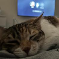 Jorge Buendía García