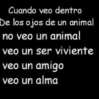 Toñi Perez Gonzalez