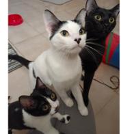 MariCarmen Alvarez  Ruiz