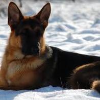 Jose Ignacio Toresano Fernandez