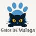 AGDM Asociación Gatos DE Málaga