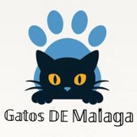 AGDM Asociación Gatos DE Málaga