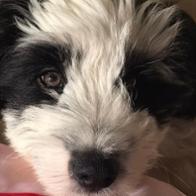 Claudia Sabine Von Reth