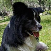 Irene Martín Andrés