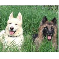 Trinidad  Gil Martín