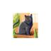 New Teamer 2
