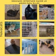 Navacats Protección felina