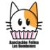 Asociación Felina  Los Bombones