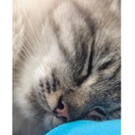 Sandra Milena Giraldo Osorio