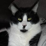 Diego y Tamy Yusta Ayuso