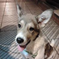 Jorge Miguel Revuelta de Guzmán Ministral