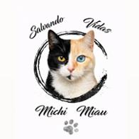 Salvando Vidas Michi Miau (SVMM)