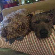 Verónica Cetina Martín-Benito