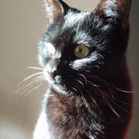 Alicia Calero Cervera