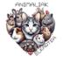 Animaliak   Elkartea
