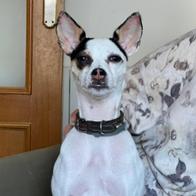 Samantha Andreina Simoes Jaime