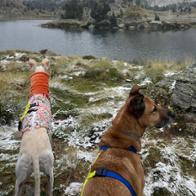 Laura Montoro Cazorla