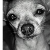 Susana Berrocal Montes