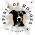 Association Spirit Of Moloss'