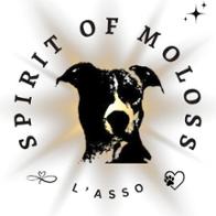 Association Spirit Of Moloss'