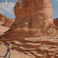 Giovanna Santaniello