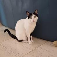 Isabel Peñaranda Lopez