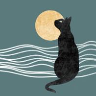 Gats de Mar rescate felino