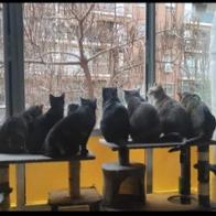 Nuria De Juan Martín