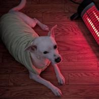 Óscar Martínez Cano