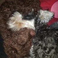 Maria Fernandez Fernandez