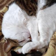 Eva María (ivory) Sanjuan Fernández