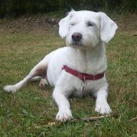 Susana Blanco Palacio