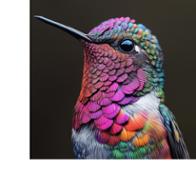 Raquel Perez estrella