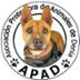 APAD Protectora de Animales Denia