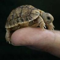 Deborah Vázquez Baldomir