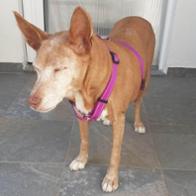 EVA PERALES AGUSTÍN