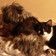 Marian Fradejas López