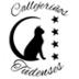 Callejeriños Tudenses Asociacion