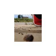 Juan  Pascual Palazon