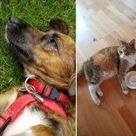 Roswitha Gumpendobler