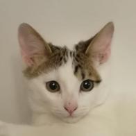 Marina Graner Eceizabarrena