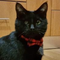 Aránzazu  Rivera Corrales