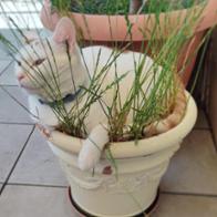 María del Carmen Gardón Clavero