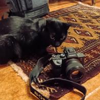 Isaac Martínez Pastor