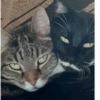 CRISTINA HELGUERA RICARDO