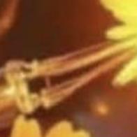 Marga Fernández Paredes