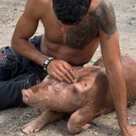 Porlosanimales Org