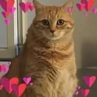 Jean Michel Gouloumes