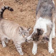 Marta Álvarez García